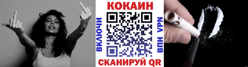 Купить закладки  Кадников  КОКАИН FishScale 