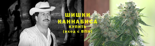 гашик Горняк