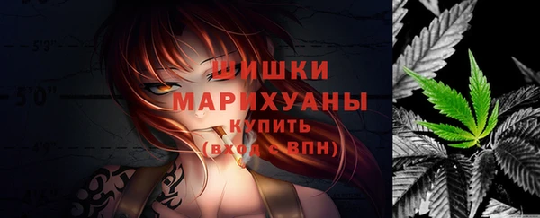 гашик Горно-Алтайск