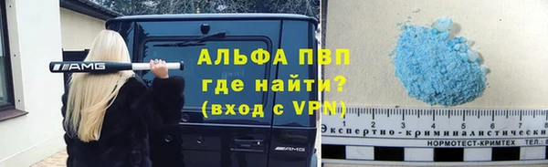 гашик Горняк