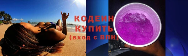 гашик Горняк