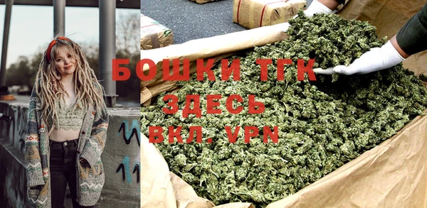 гашик Горняк