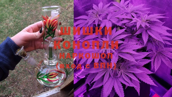 гашик Горняк