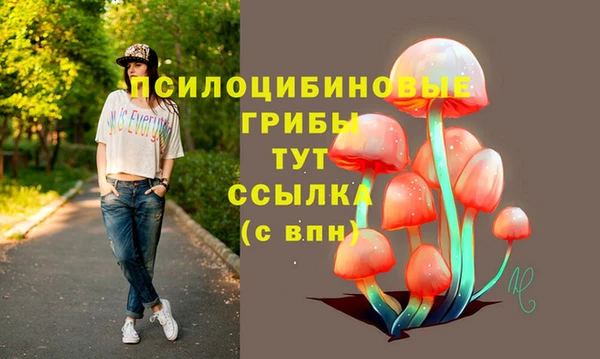 гашик Горняк