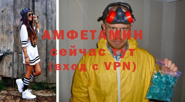 гашик Горняк