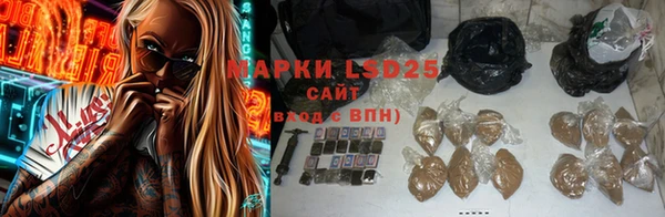 гашик Горняк
