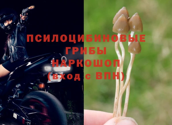 гашик Горно-Алтайск