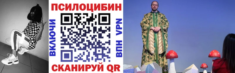 Купить закладки  Кадников  Галлюциногенные грибы Magic Shrooms 